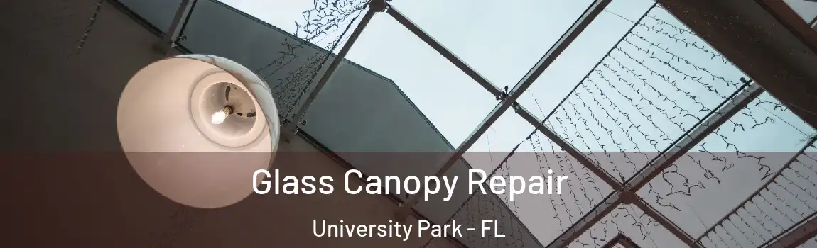  Glass Canopy Repair University Park - FL