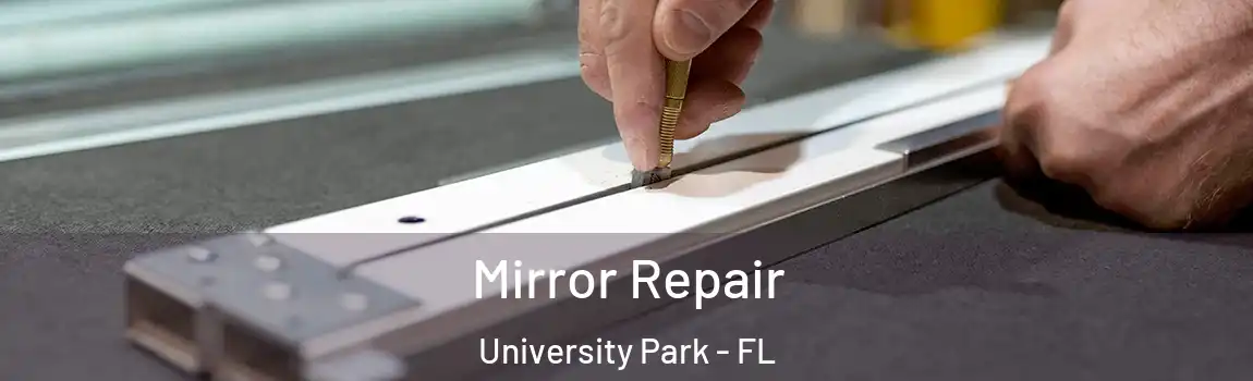  Mirror Repair University Park - FL